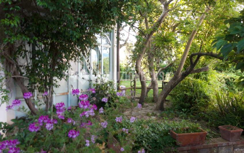SC1287 Appartamento con giardino a San Marco di Castellabate