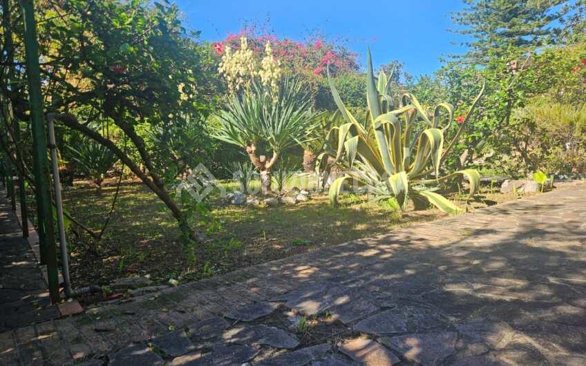 SCD1382 Immobile storico con terrazzo e giardino al centro di Sapri Golfo di Policastro