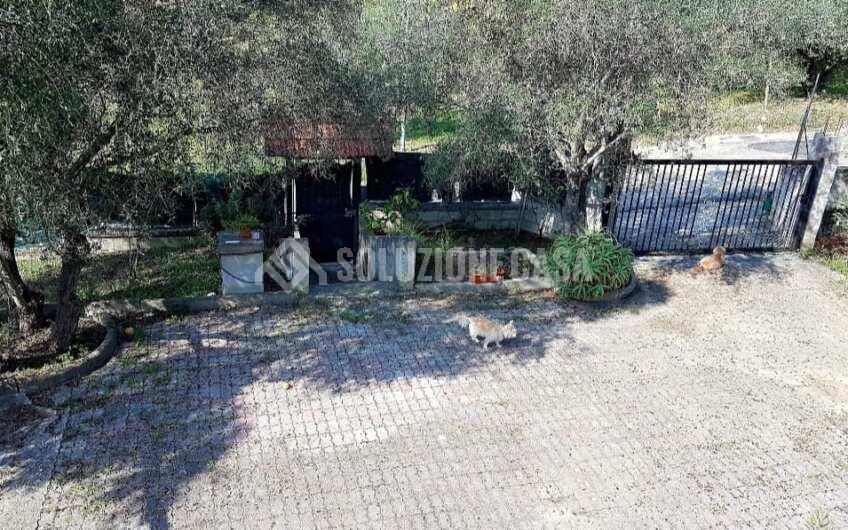 SC1303 Villa con giardino a Santa Maria di Castellabate