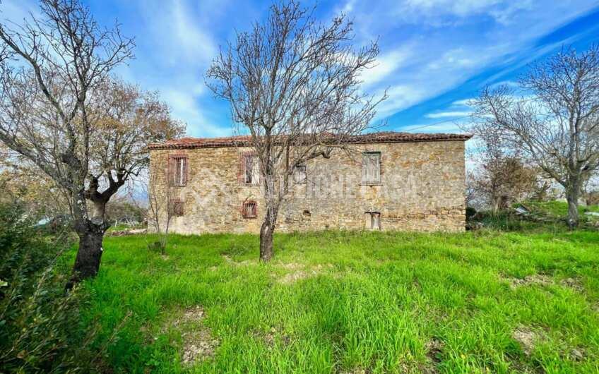 SC1323 Rudere panoramico con uliveto e ficheto sulla Collina di Agropoli