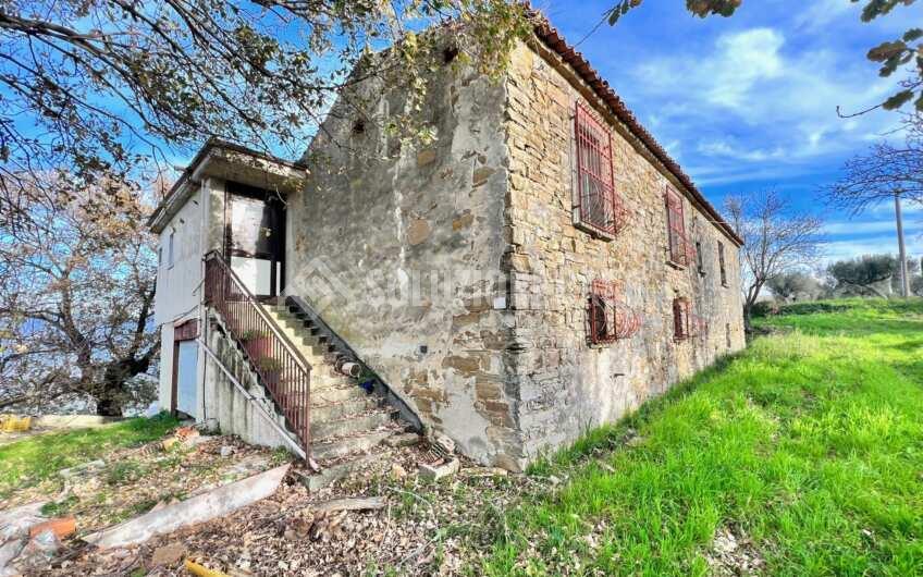 SC1323 Rudere panoramico con uliveto e ficheto sulla Collina di Agropoli