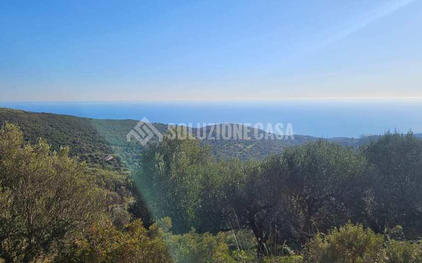 SCD1325 Villa con stupenda vista mare immersa nel verde a  Lentiscosa di Camerota