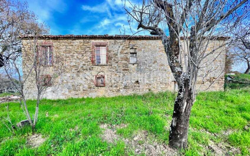 SC1323 Rudere panoramico con uliveto e ficheto sulla Collina di Agropoli