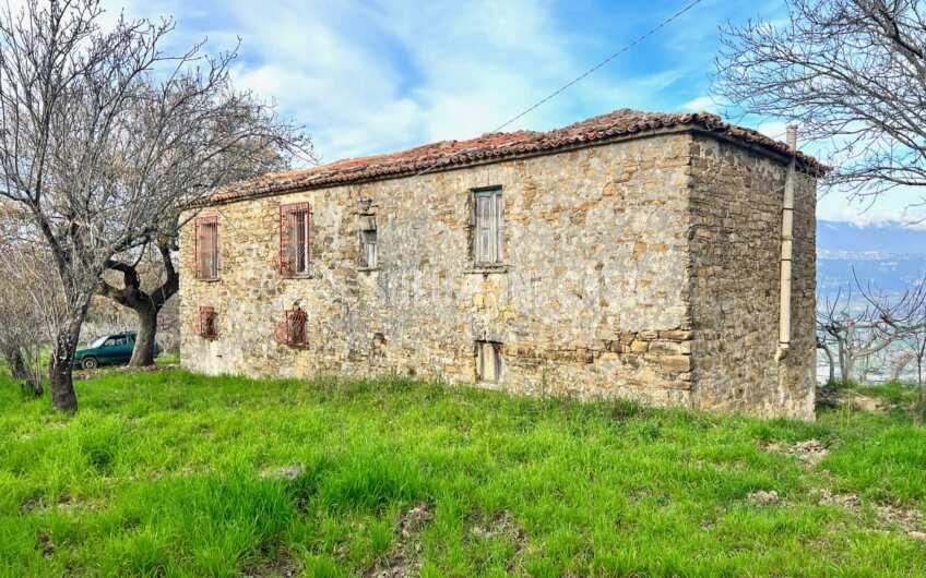 SC1323 Rudere panoramico con uliveto e ficheto sulla Collina di Agropoli