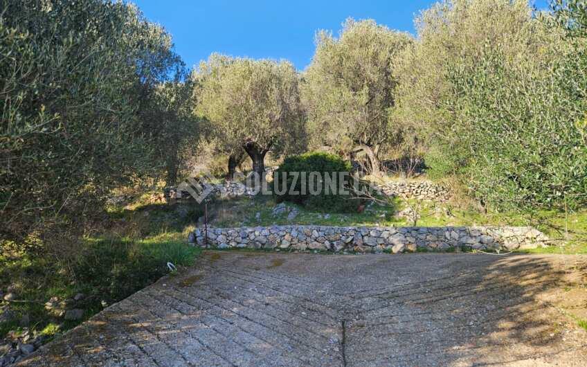 SCD1325 Villa con stupenda vista mare immersa nel verde a  Lentiscosa di Camerota