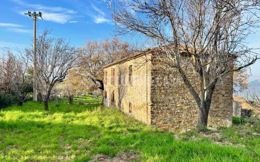 SC1323 Rudere panoramico con uliveto e ficheto sulla Collina di Agropoli