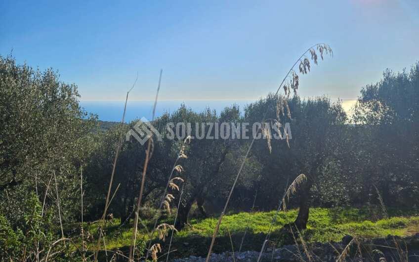 SCD1325 Villa con stupenda vista mare immersa nel verde a  Lentiscosa di Camerota