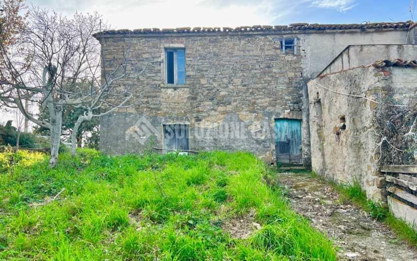 SC1323 Rudere panoramico con uliveto e ficheto sulla Collina di Agropoli