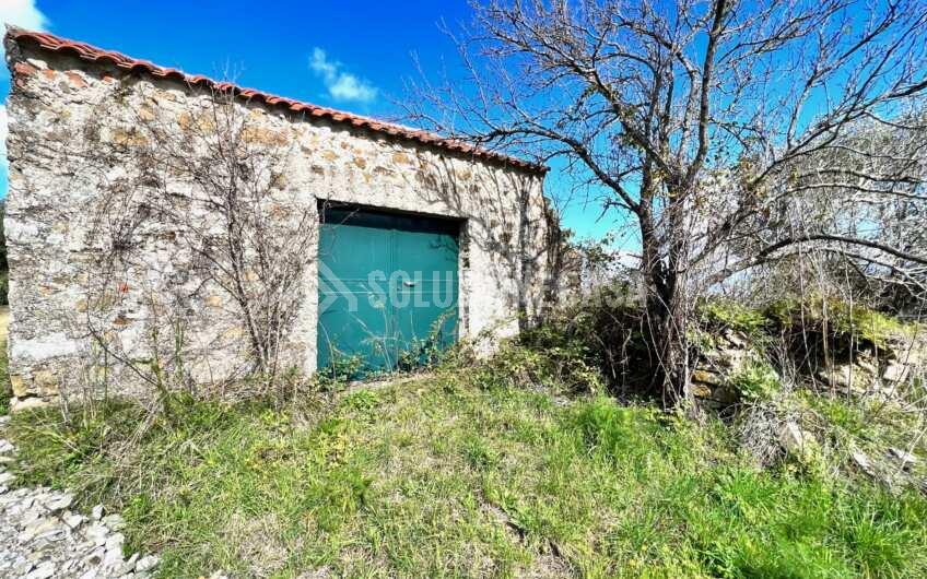 SC1330 Proprietà vista mare terreno con casolare e uliveto   a Laureana Cilento