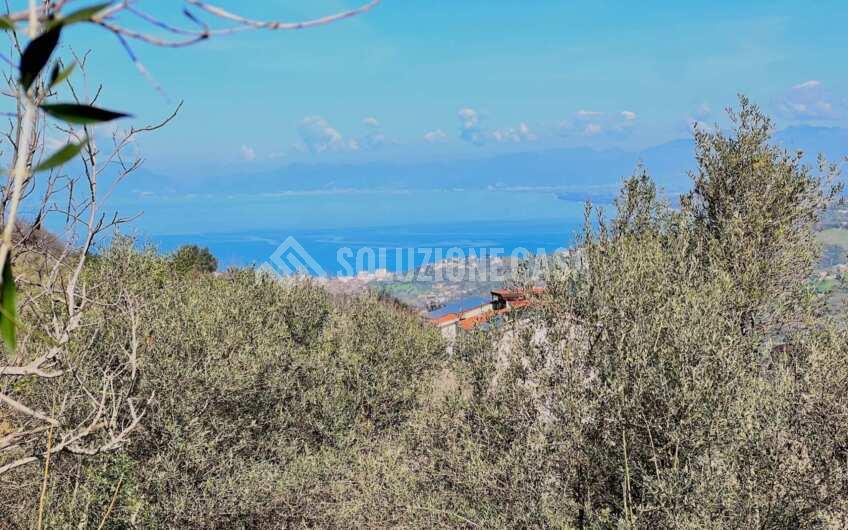 SC1330 Proprietà vista mare terreno con casolare e uliveto   a Laureana Cilento