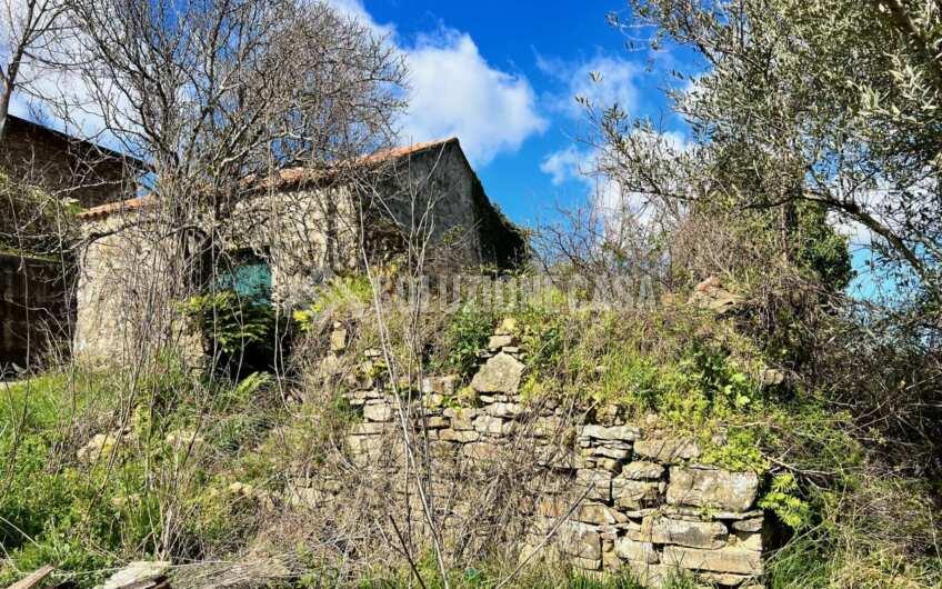 SC1330 Proprietà vista mare terreno con casolare e uliveto   a Laureana Cilento