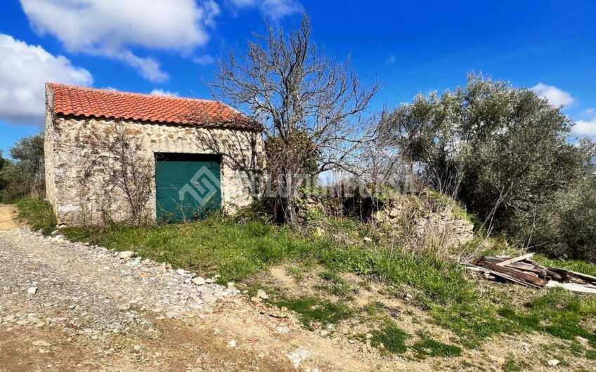 SC1330 Proprietà vista mare terreno con casolare e uliveto   a Laureana Cilento