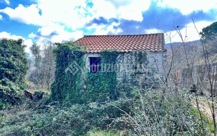 SC1330 Proprietà vista mare terreno con casolare e uliveto   a Laureana Cilento
