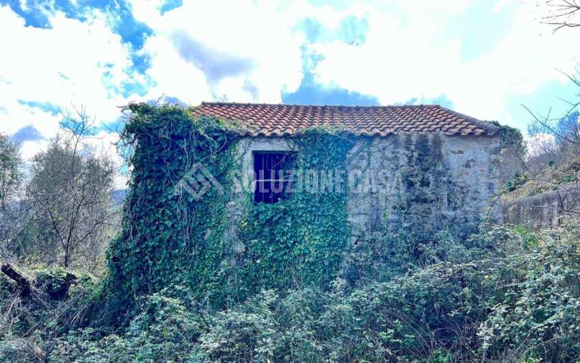 SC1330 Proprietà vista mare terreno con casolare e uliveto   a Laureana Cilento