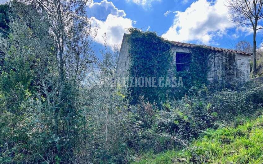 SC1330 Proprietà vista mare terreno con casolare e uliveto   a Laureana Cilento