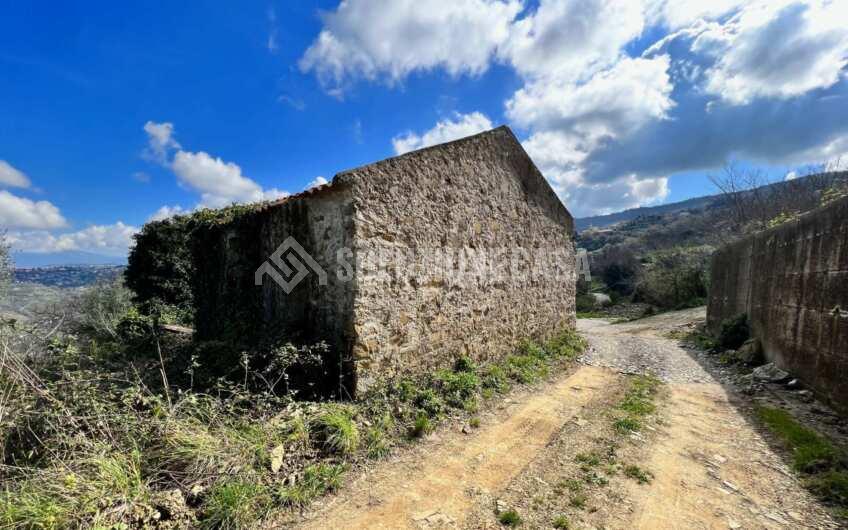 SC1330 Proprietà vista mare terreno con casolare e uliveto   a Laureana Cilento