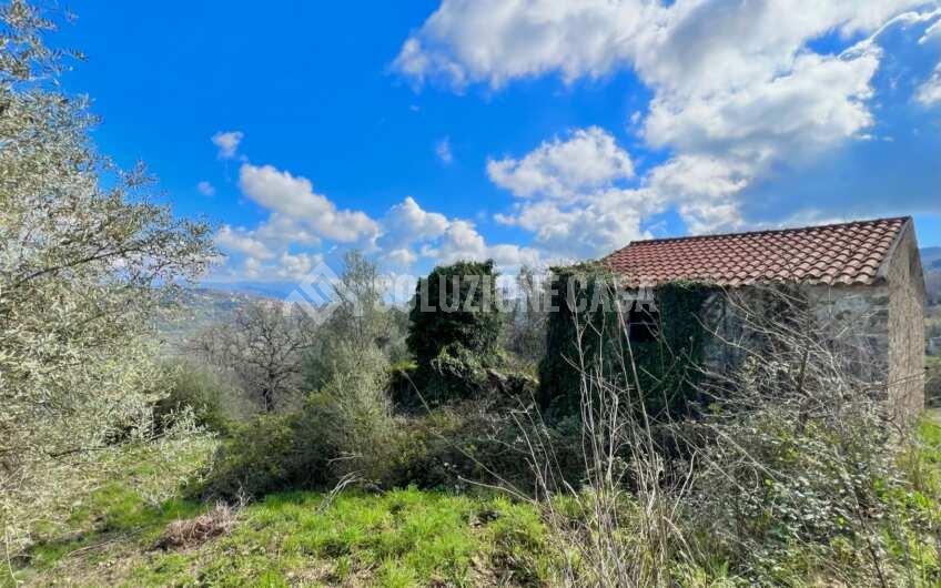 SC1330 Proprietà vista mare terreno con casolare e uliveto   a Laureana Cilento
