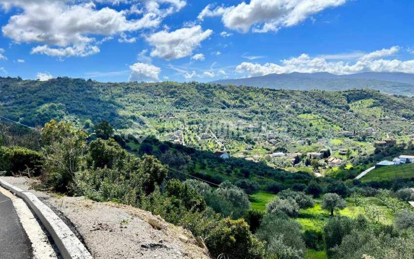 SC1331 Lotti di terreno agricolo con uliveti e agrumeti ad Agropoli loc.tà Fuonti