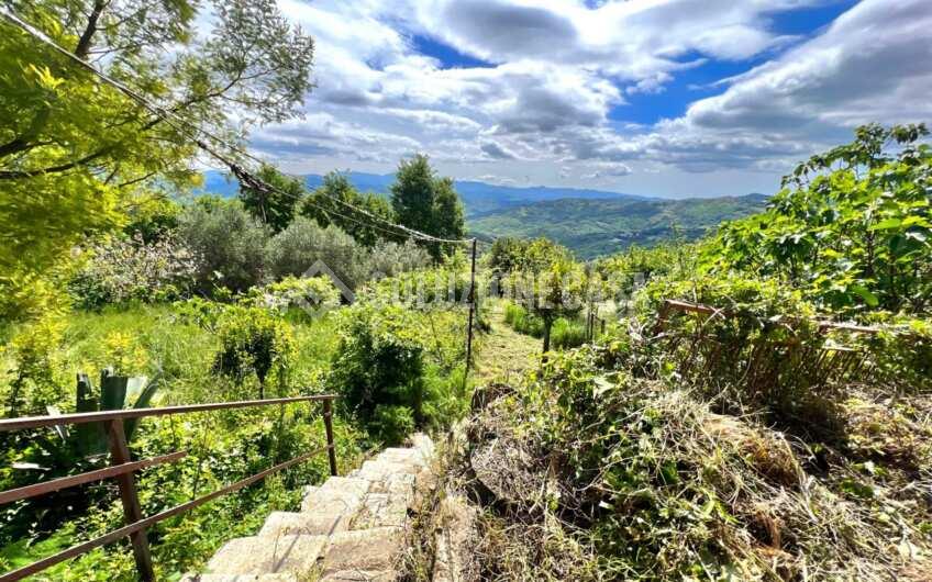 SC1337 Terracielo vista mare con ingresso indipendente e giardino nel centro di Prignano Cilento.
