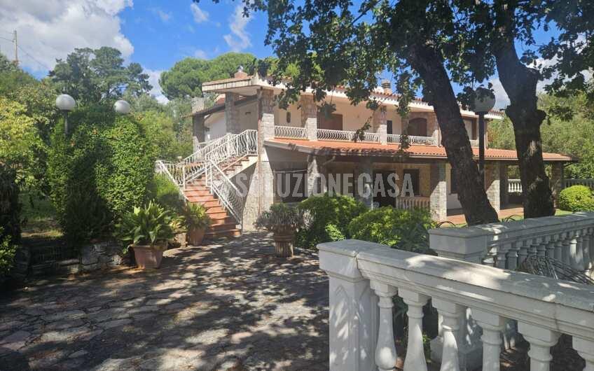 SCD1376 Stupenda villa in pietra con ampio giardino a Scario