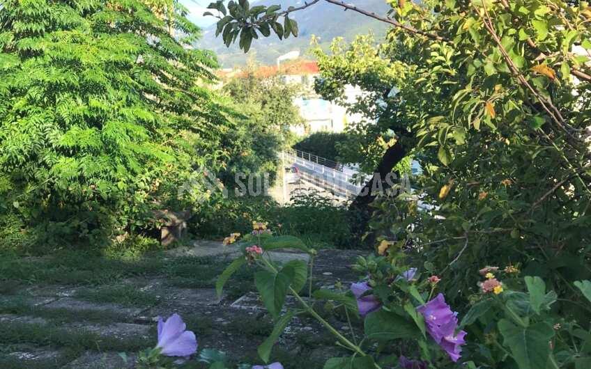 SCD1372 Appartamento al mare con giardino a Villammare Golfo di Policastro