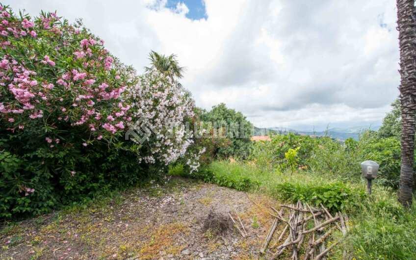 SC1382 Ancient Historical house in the very heart of Cilento