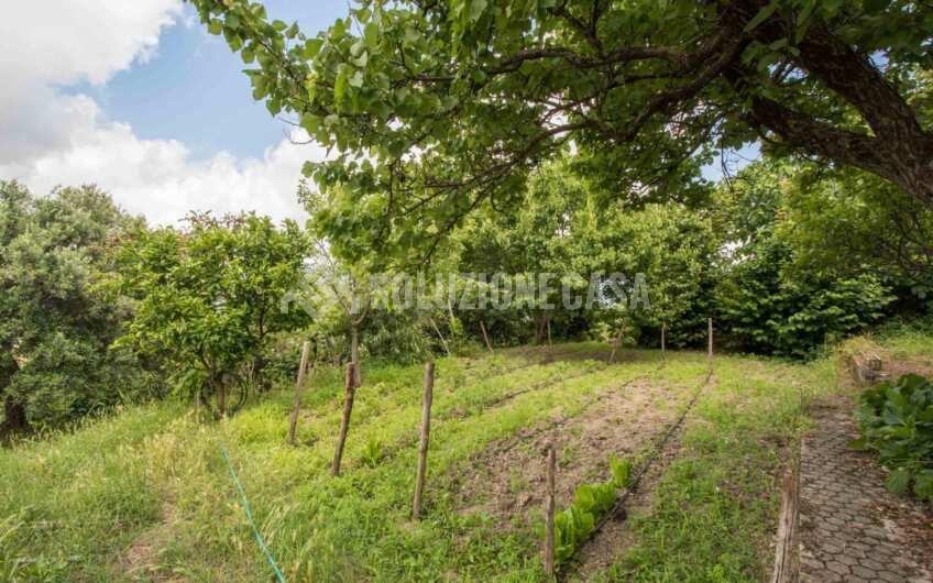 SC1382 Ancient Historical house in the very heart of Cilento