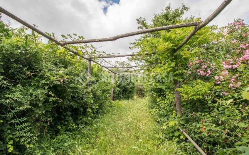 SC1382 Ancient Historical house in the very heart of Cilento