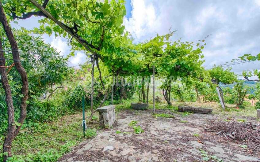 SC1382 Ancient Historical house in the very heart of Cilento