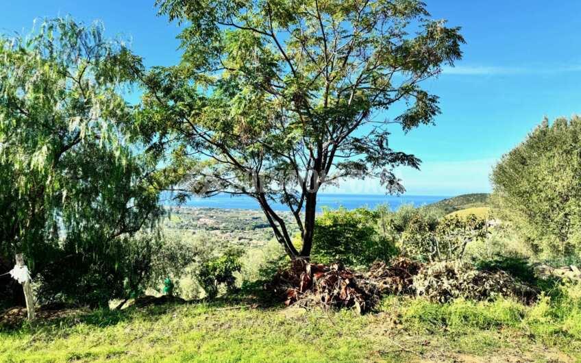 SC1379 Casali in pietra vista mare, con uliveti e frutteti , a  Santa Maria di Castellabate Alano