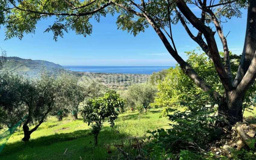 SC1379 Casali in pietra vista mare, con uliveti e frutteti , a  Santa Maria di Castellabate Alano