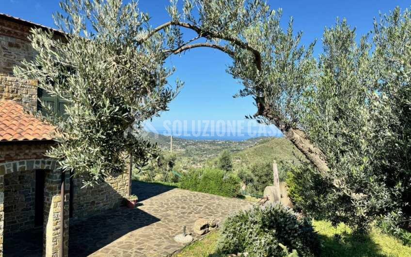 SC1378 Casale tipico cilentano  vista mare immerso negli uliveti a Montecorice