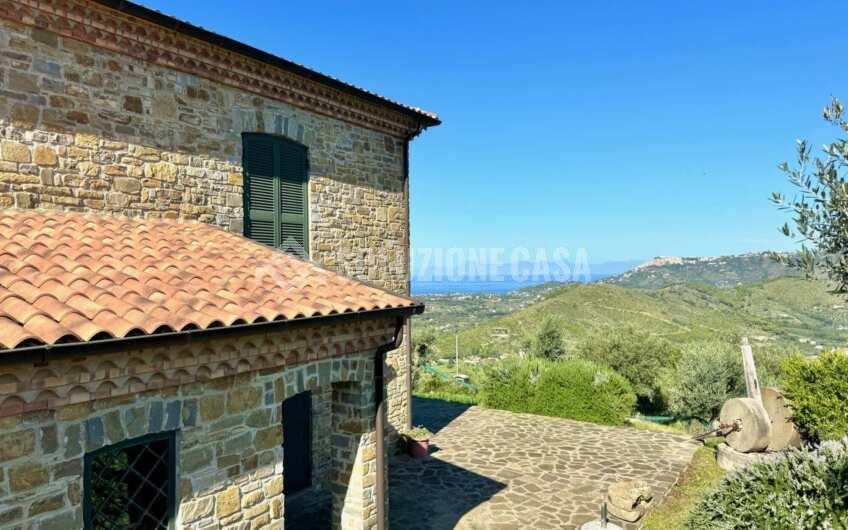 SC1378 Casale tipico cilentano  vista mare immerso negli uliveti a Montecorice