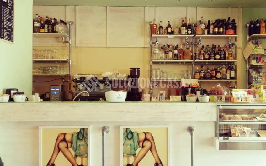 SCD1395 Avviatissima attività caffetteria/gelateria in vendita a Villammare – Golfo di Policastro