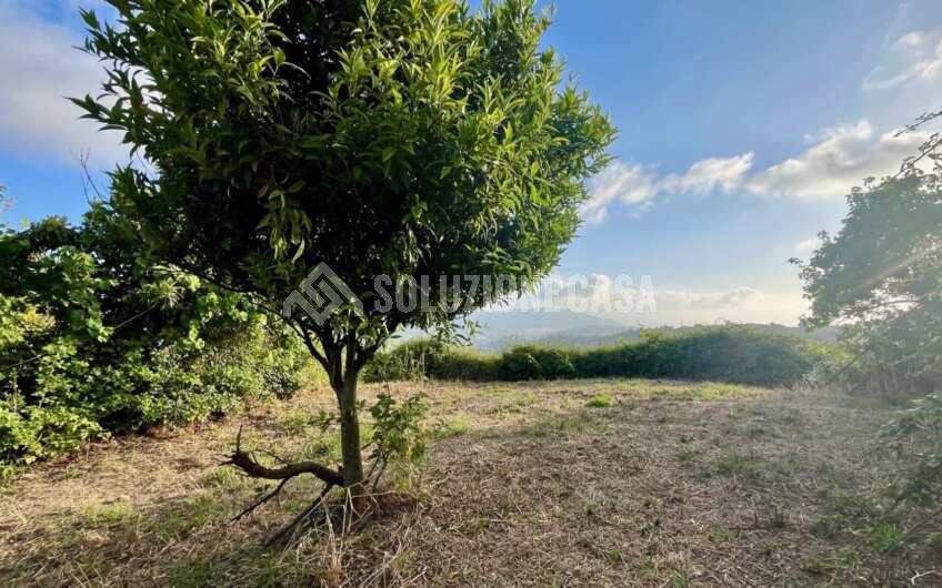 SC1351 Cascina in vendita in zona Fuonti di Agropoli