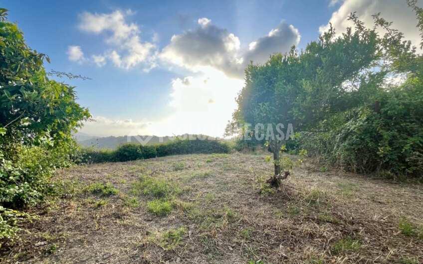 SC1351 Cascina in vendita in zona Fuonti di Agropoli