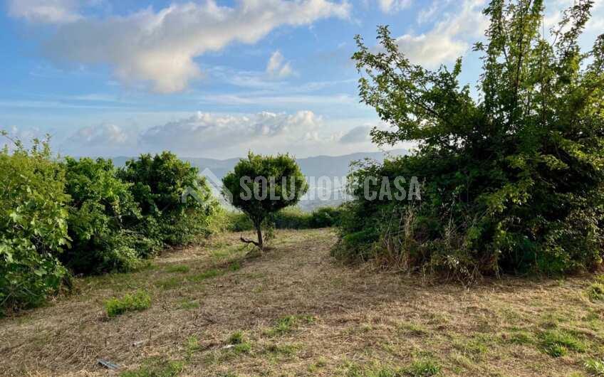 SC1351 Cascina in vendita in zona Fuonti di Agropoli