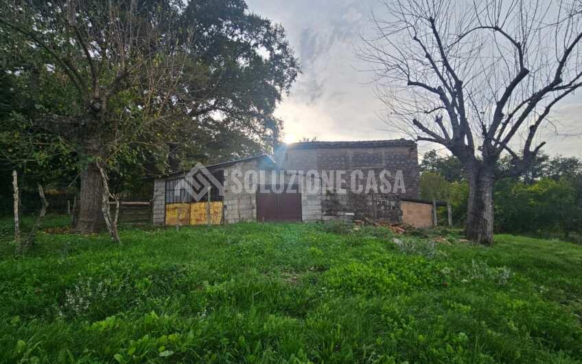 SCD1413 Fabbricato rurale con vasto terreno a Celle di Bulgheria