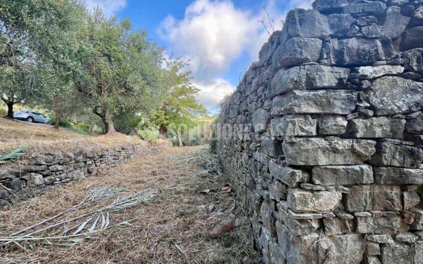 SC1351 Cascina in vendita in zona Fuonti di Agropoli