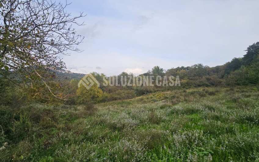 SCD1413 Fabbricato rurale con vasto terreno a Celle di Bulgheria