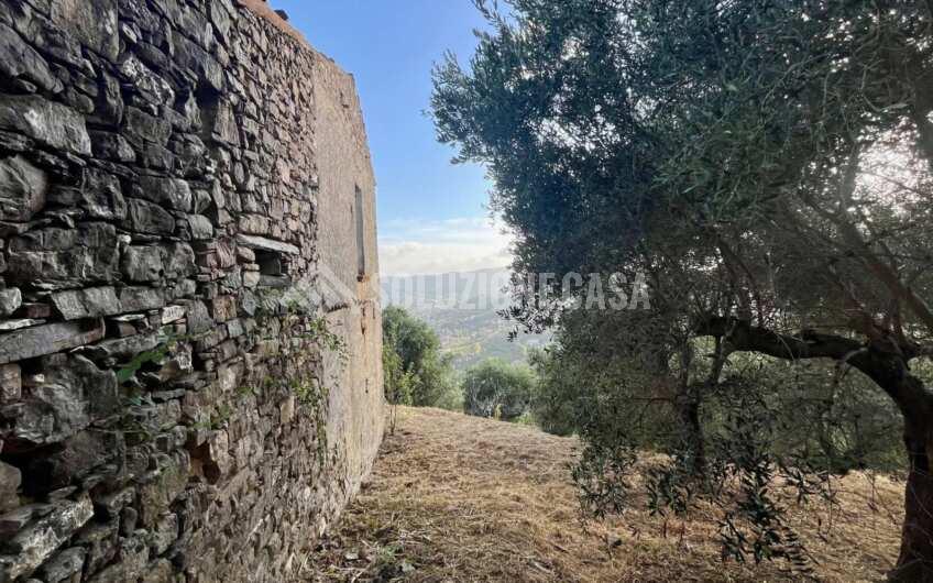 SC1351 Cascina in vendita in zona Fuonti di Agropoli