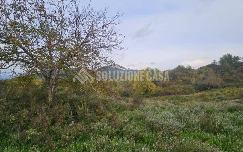 SCD1413 Fabbricato rurale con vasto terreno a Celle di Bulgheria