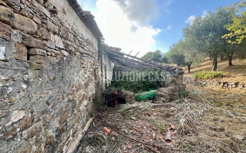 SC1351 Cascina in vendita in zona Fuonti di Agropoli